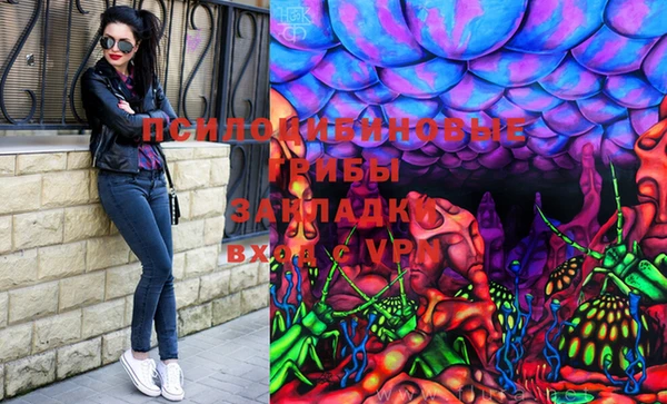 индика Вуктыл