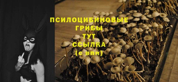 индика Вуктыл